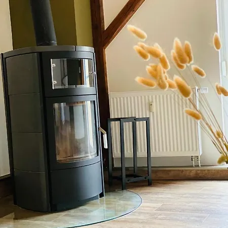 Alte Scheune Διαμέρισμα Werneck